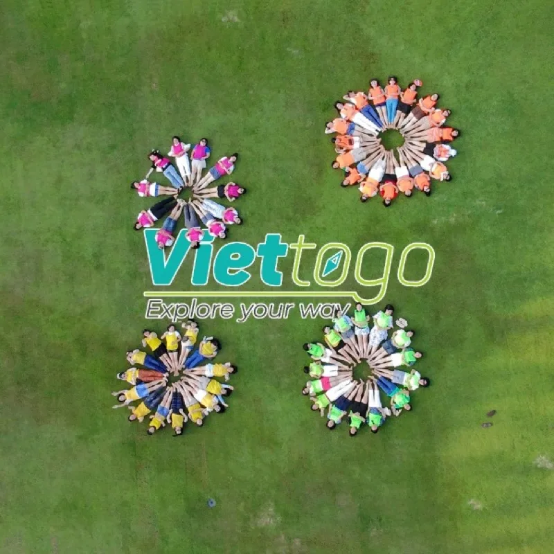 Viettogo Travel & Events Về chúng tôi
