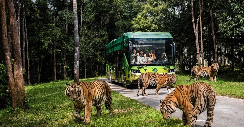 Vinpearl Safari